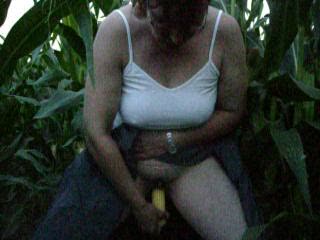 Carmen in corn field